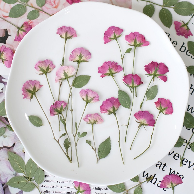 Resin Art Rose Petals - 12pcs,Real Mini Rose Pressed Flowers Pink