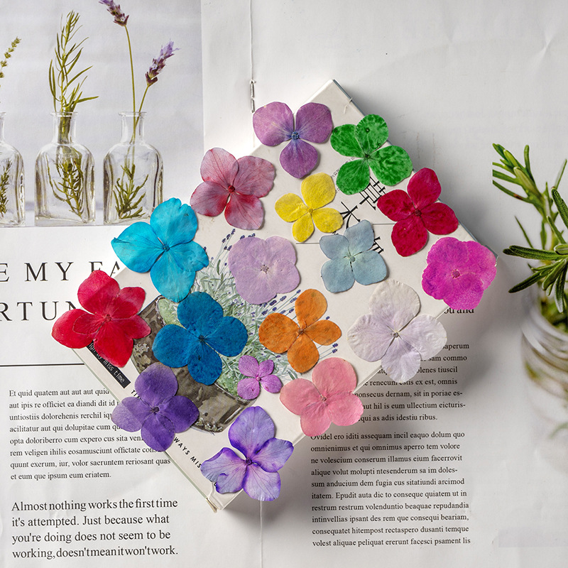 60Pcs Anna Hydrangea Color-Abs - Resin Art For Photo Frame review and price