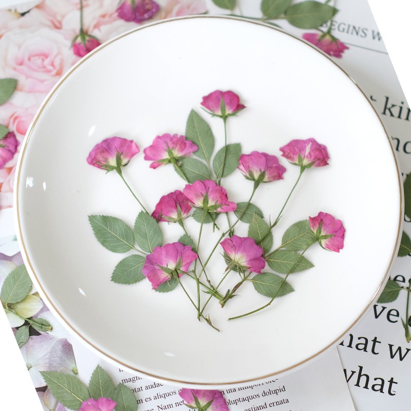 12pcs,Real Mini Rose Pressed F - Resin Art Rose Petals review and price