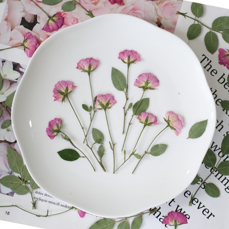 12pcs,Real Mini Rose Pressed F - Resin Art Rose Petals review and price