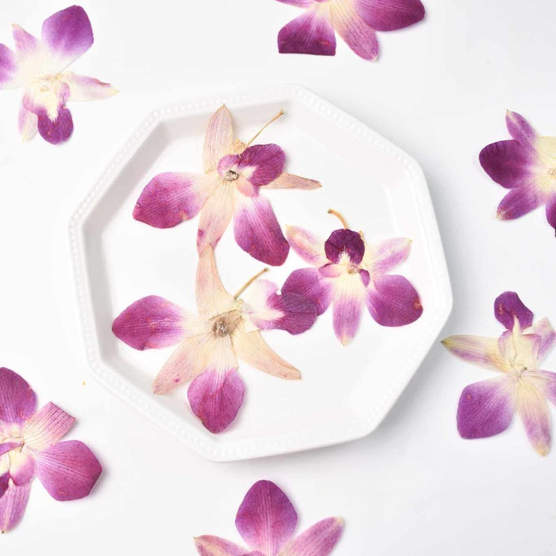 4pcs,Real Pressed Butterfly Or - Resin Art For Photo Frame review and price