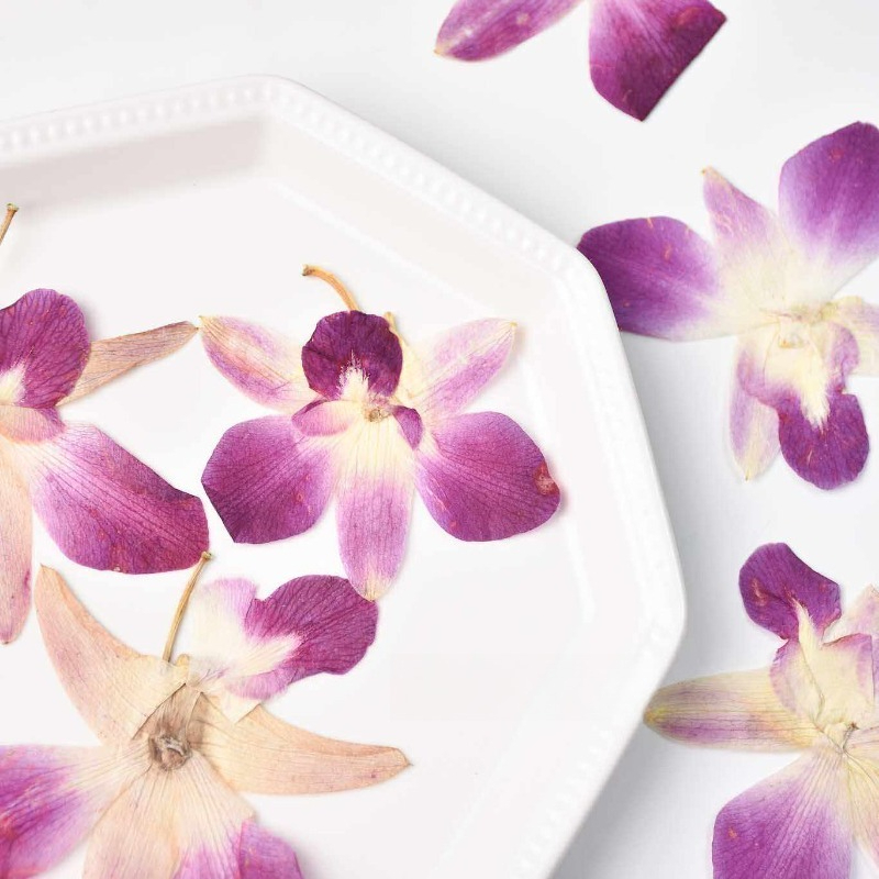 4pcs,Real Pressed Butterfly Or - Resin Art For Photo Frame review and price