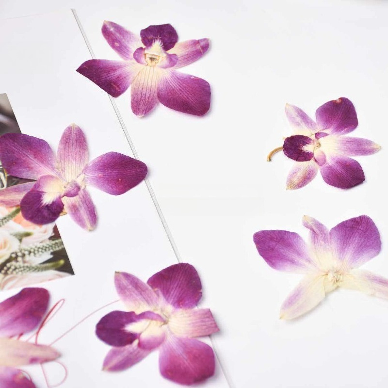 4pcs,Real Pressed Butterfly Or - Resin Art For Photo Frame review and price