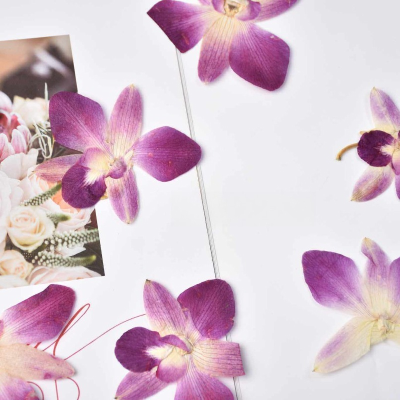4pcs,Real Pressed Butterfly Or - Resin Art For Photo Frame review and price
