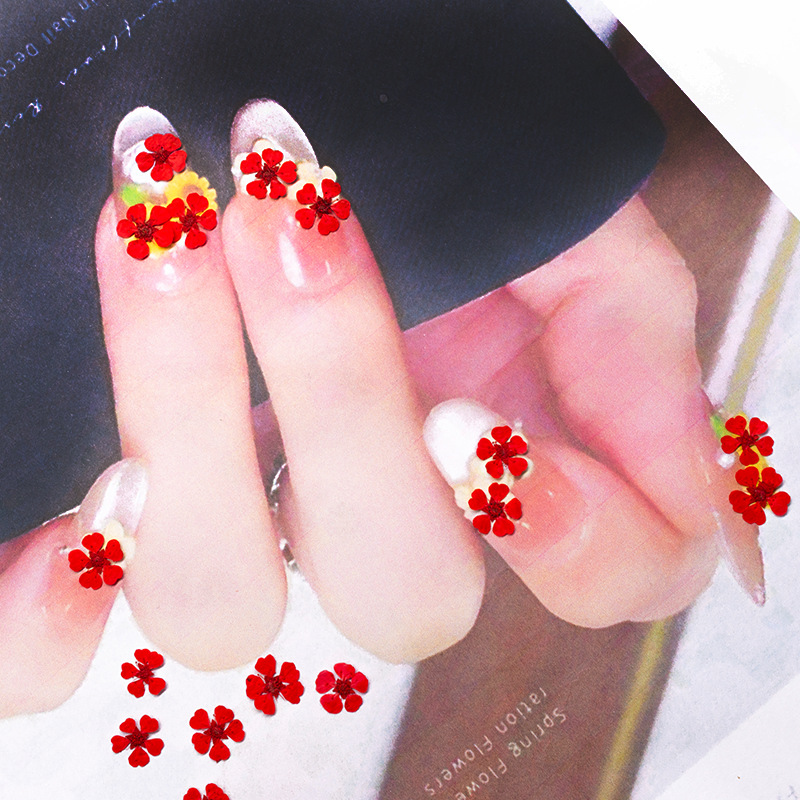 96Pcs Mini 1.5cm Natural Press - Resin Art For Photo Frame review and price