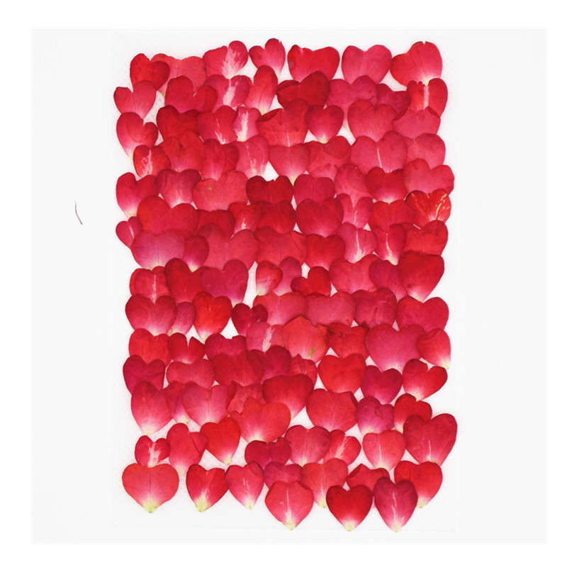 120Pcs Rose Petals Mixed Pack, - Resin Art Rose Petals review and price