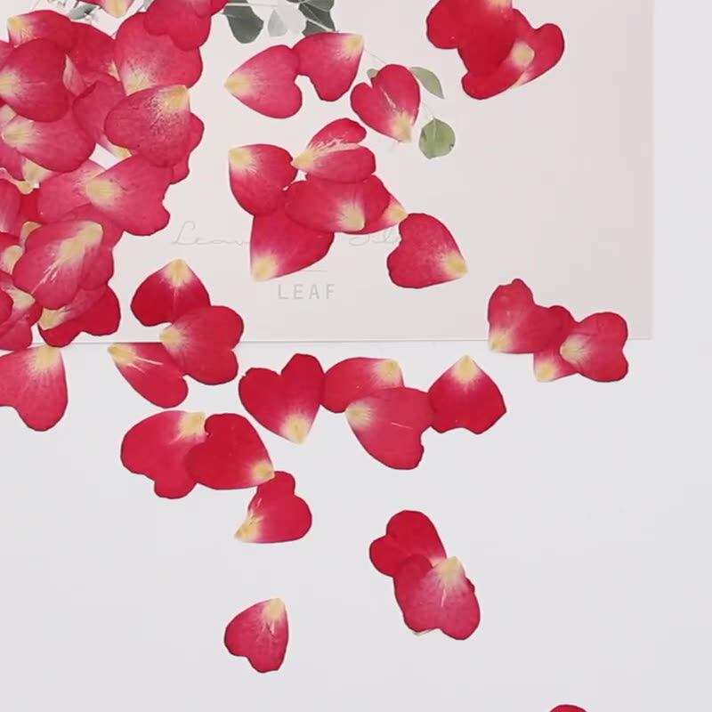120Pcs Rose Petals Mixed Pack, - Resin Art Rose Petals review and price
