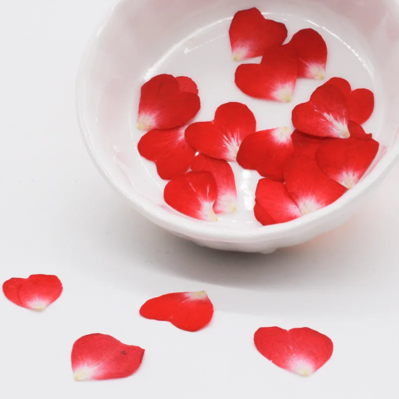 40PC/0.5~1.2CM Real Natural Dr - Resin Art Rose Petals review and price