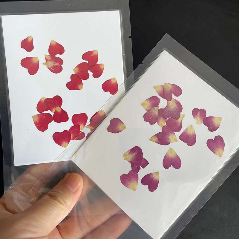 40PC/0.5~1.2CM Real Natural Dr - Resin Art Rose Petals review and price