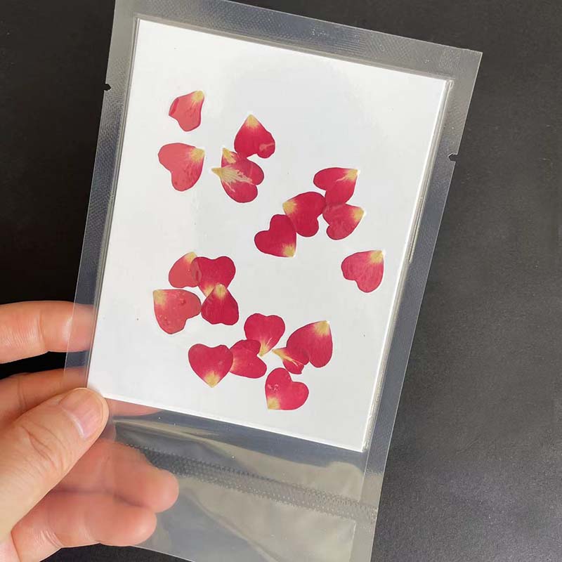 40PC/0.5~1.2CM Real Natural Dr - Resin Art Rose Petals review and price