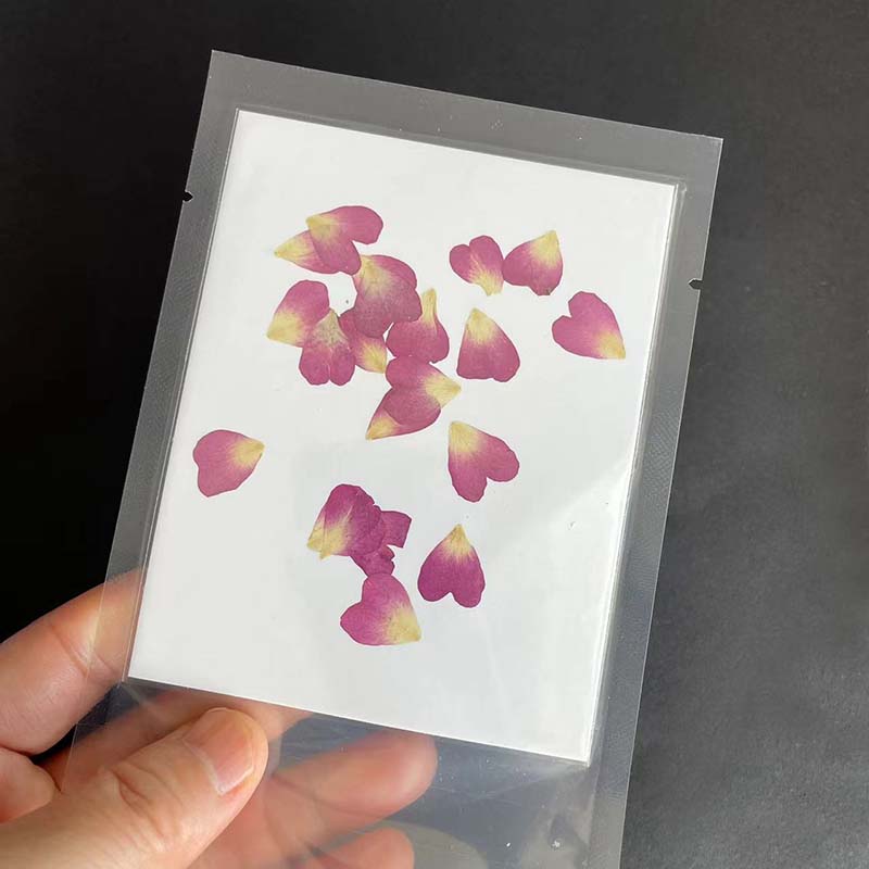 40PC/0.5~1.2CM Real Natural Dr - Resin Art Rose Petals review and price