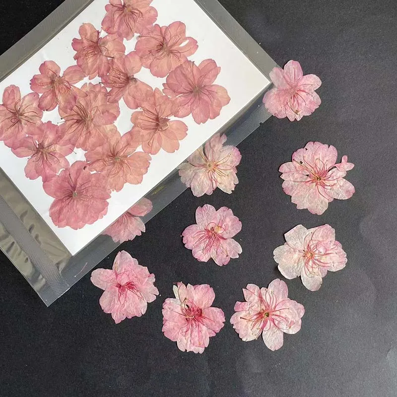 3-4.5CM/24PC Real Natural Drie - Resin Art Rose Petals review and price