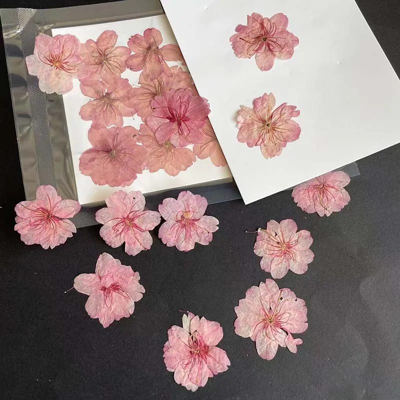 3-4.5CM/24PC Real Natural Drie - Resin Art Rose Petals review and price