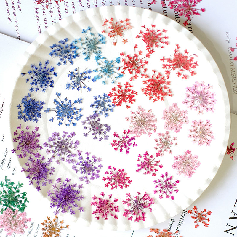 24pcs, 2-2.5cm, Nature Dyed Mi - Resin Art For Photo Frame review and price