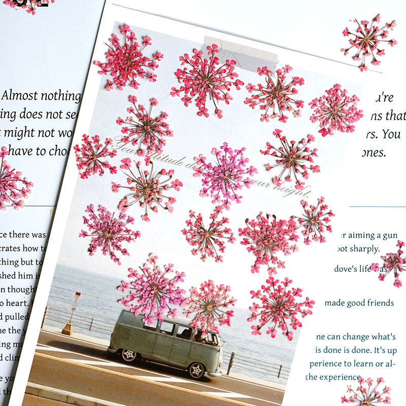 24pcs, 2-2.5cm, Nature Dyed Mi - Resin Art For Photo Frame review and price