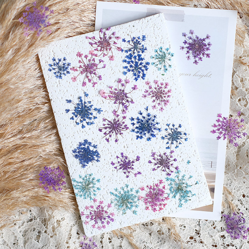 24pcs, 2-2.5cm, Nature Dyed Mi - Resin Art For Photo Frame review and price