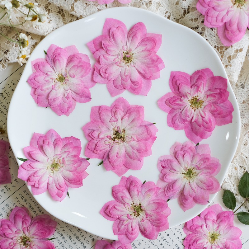 6pcs,Natural Rose Lotus Presse - Resin Art Rose Petals review and price